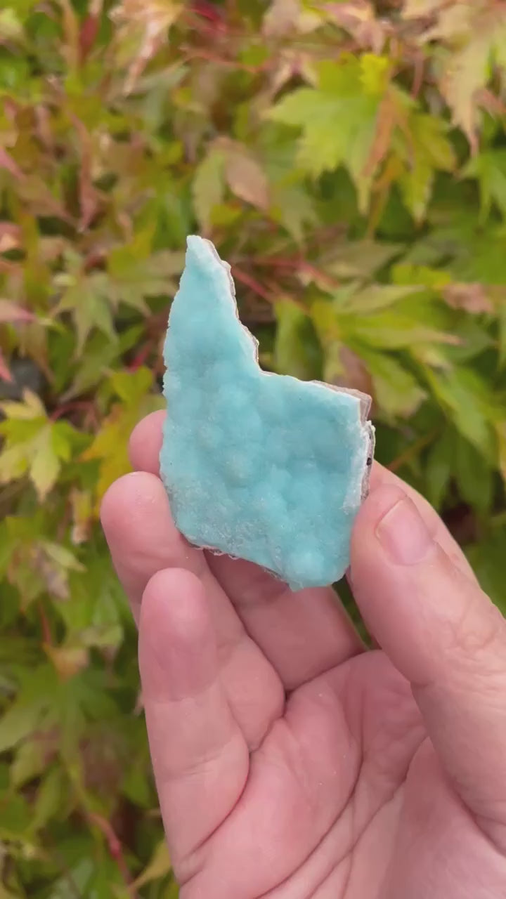 Vibrant Hemimorphite Floater Crystal Specimen