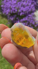 Load and play video in Gallery viewer, Natural Rough Ethiopian Opal Specimen
