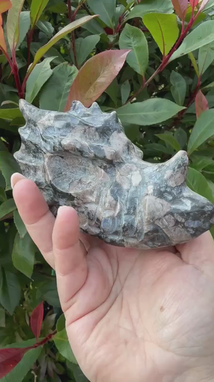 Carved Que Sera Dragon Head