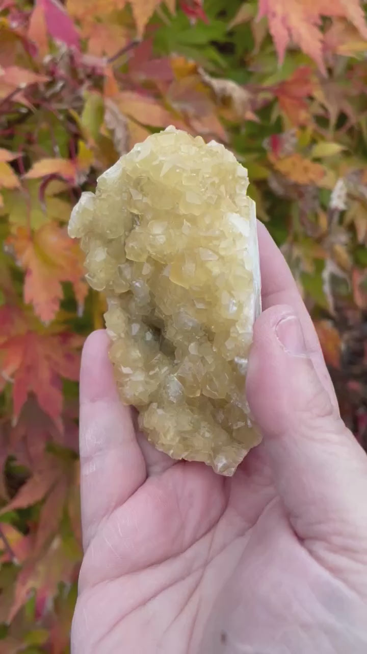 Honey Calcite Cluster Crystal Specimen