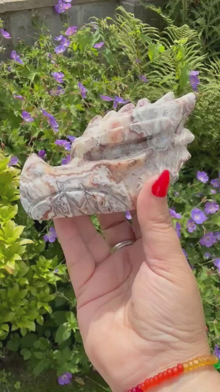 Mexican Crazy Lace Agate Dragon Head Carving
