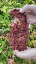 Load and play video in Gallery viewer, Red Calcite Specimen

