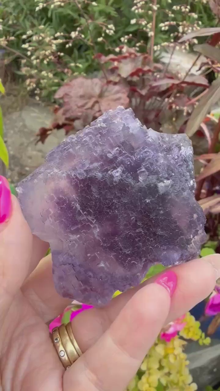 Uv reactive stepped Purple Fluorite from Xinjiang, China