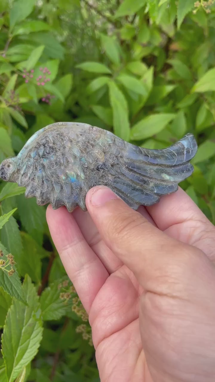 Labradorite Angel Wing