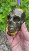 Load and play video in Gallery viewer, Tigers Eye Skull Carving
