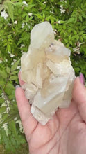 Load and play video in Gallery viewer, UV Reactive Sandwich Calcite Specimen from Fujian
