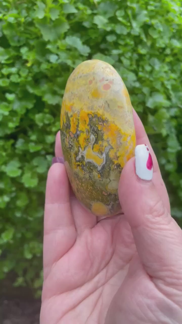 Bumble Bee Jasper Crystal Palmstone