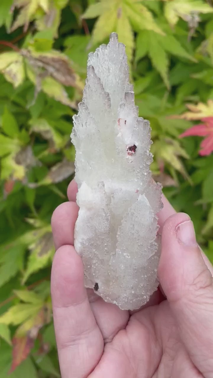Feather Calcite and Pyrite Specimen