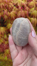 Load and play video in Gallery viewer, Moonstone Palmstone
