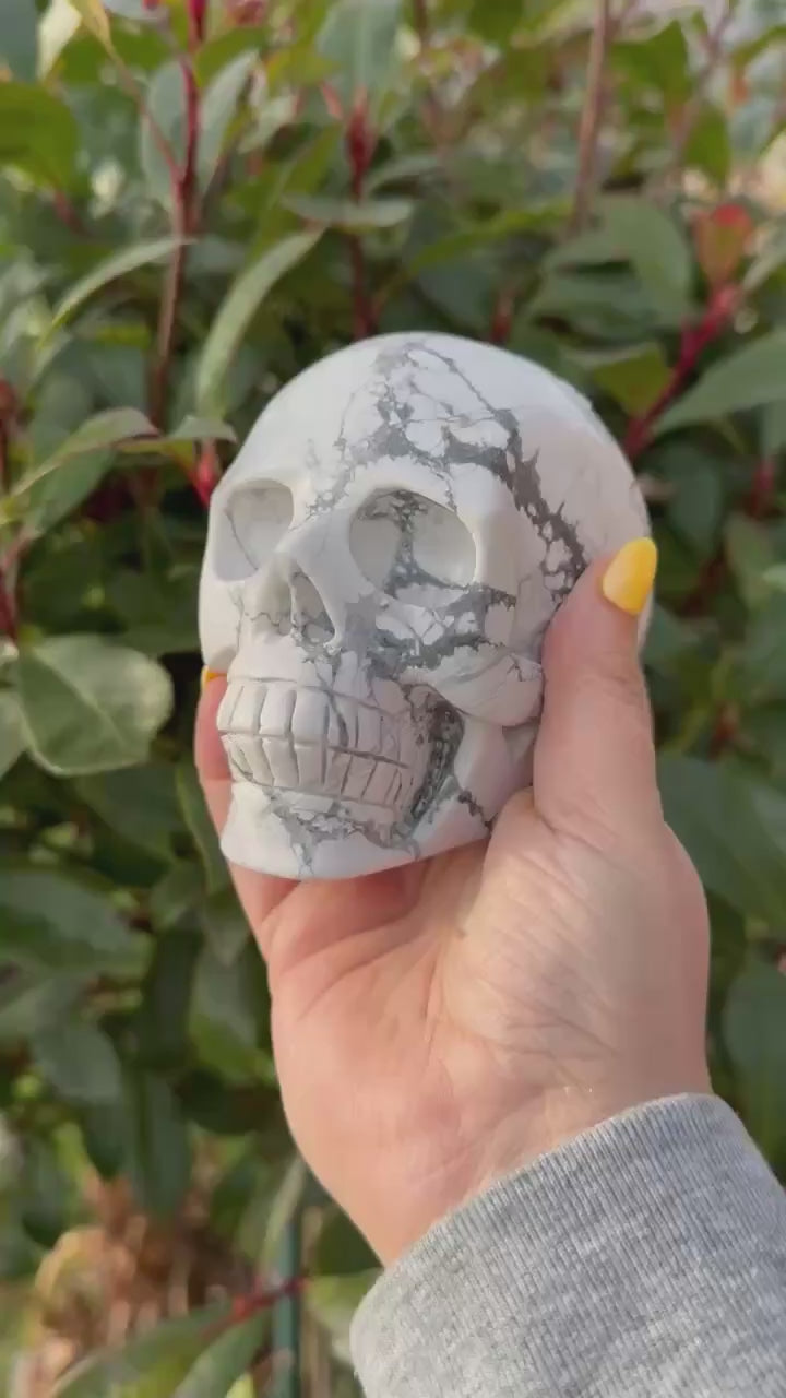 Howlite Skull