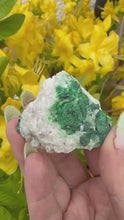 Load and play video in Gallery viewer, Rare Arsentsumebite and Cerussite from Tsumeb
