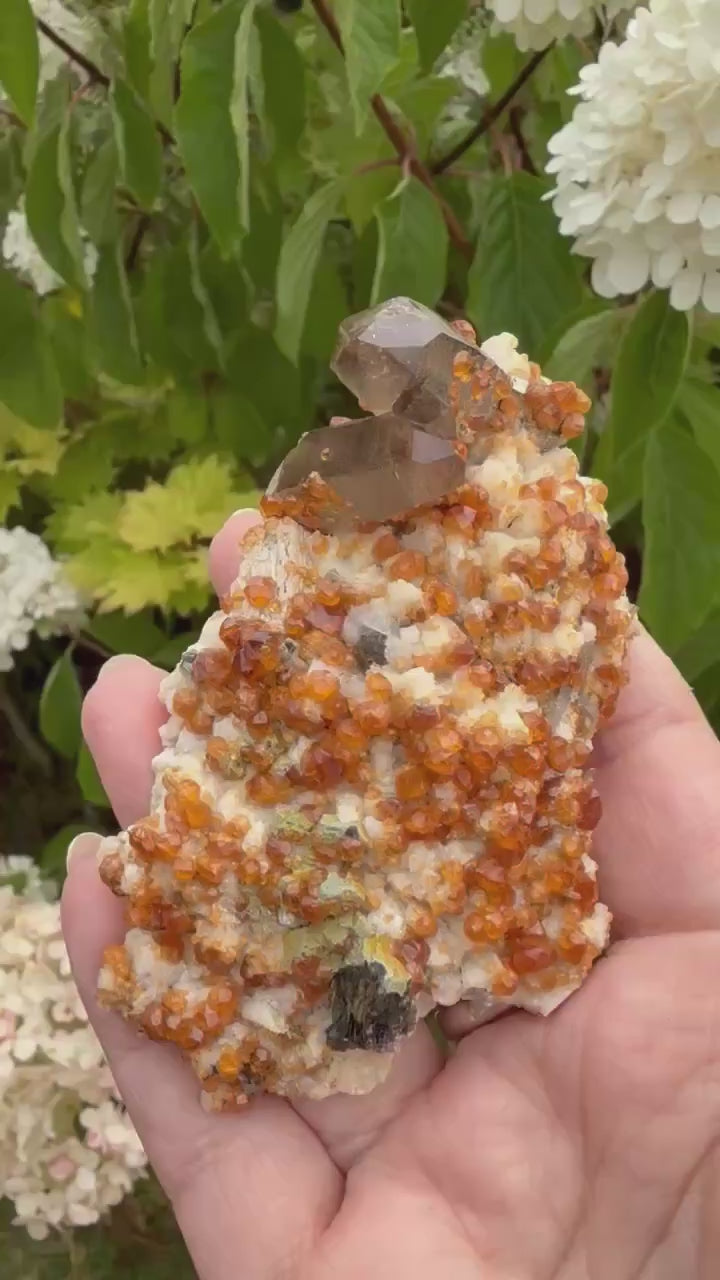 Smoky Quartz and Spessartine Garnet Specimen from Fujian