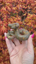 Load and play video in Gallery viewer, Fruit Jasper Realistic Snake Carving
