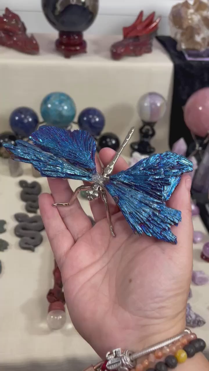 Kyanite Dragonfly