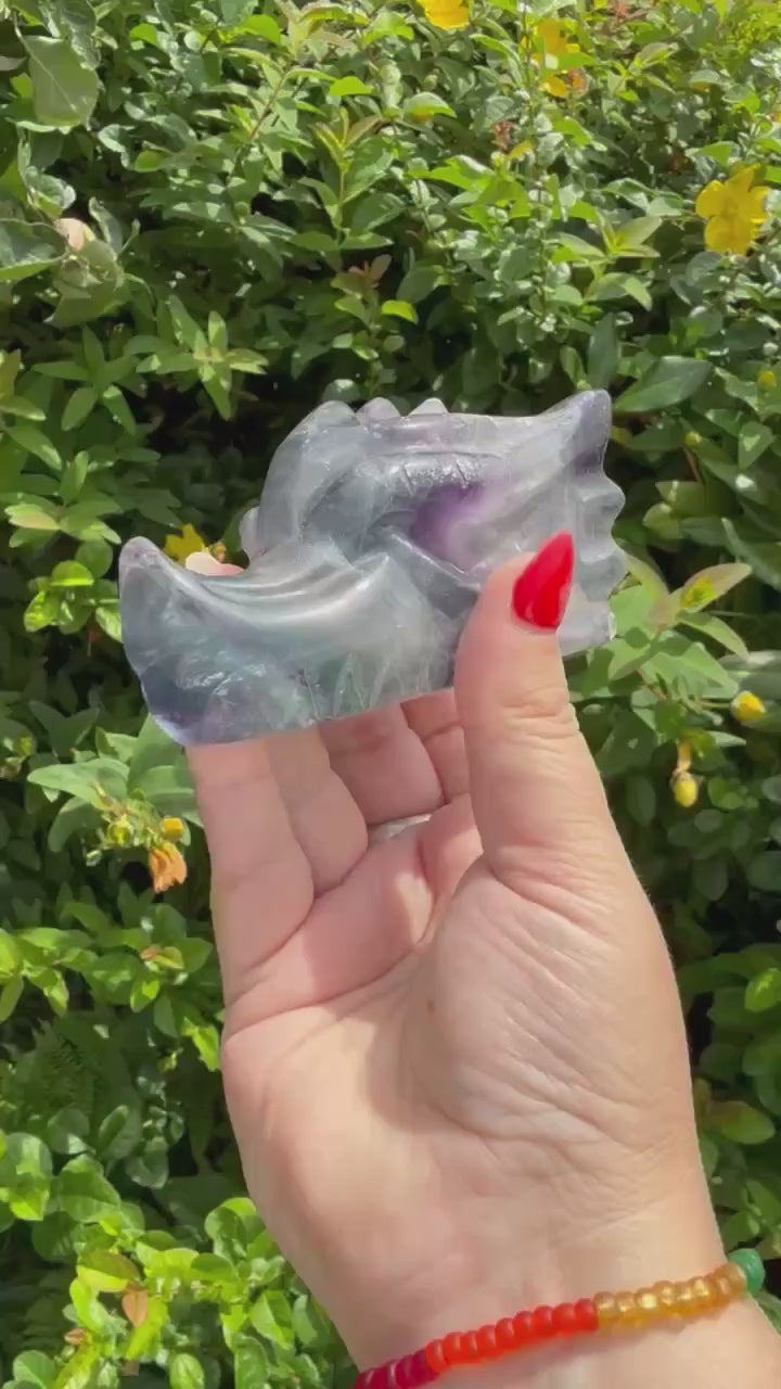 Banded Fluorite Dragon Head Carving