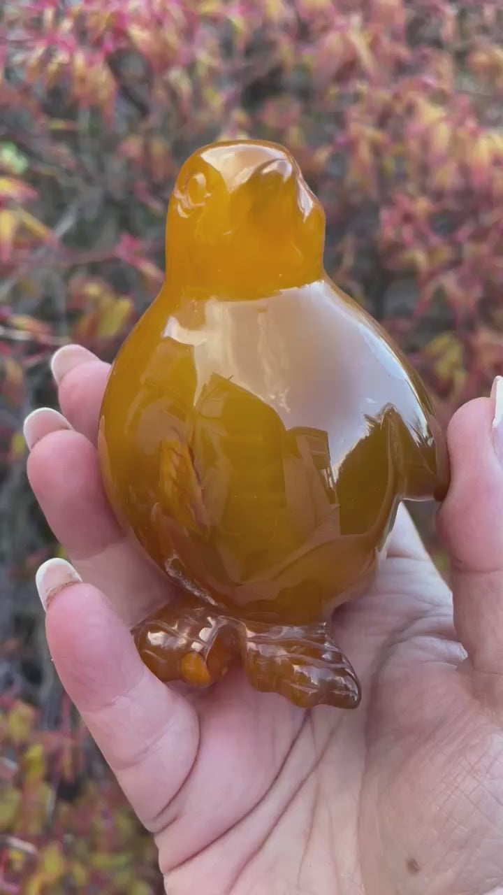 Druzy Agate Penguin Carving