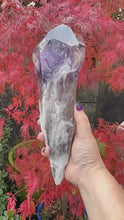 Load and play video in Gallery viewer, Large Amethyst Root Point Specimen
