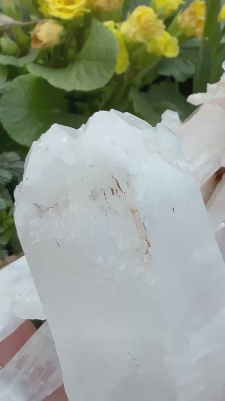 Incredible Self Healed Columbian Quartz Specimen