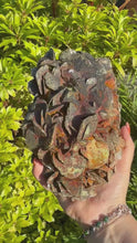 Load and play video in Gallery viewer, Statement Piece Rare Calcite and Mottramite Specimen from Tsumeb Mine Namibia
