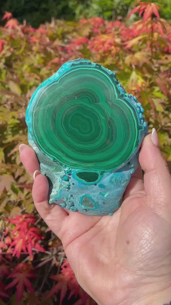 Malachite and Chrysocolla Stalactite Specimen