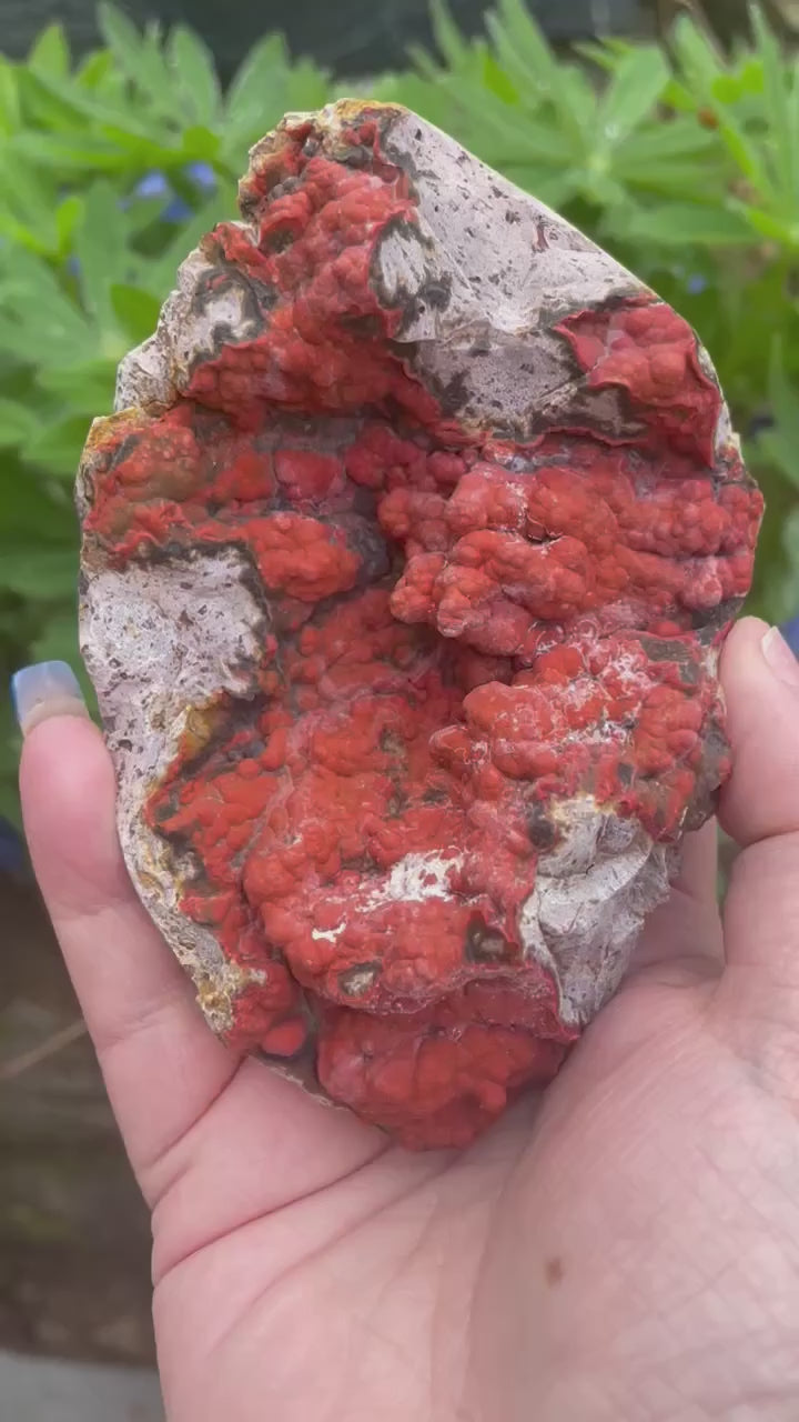 Large Vibrant Red Agate Specimen