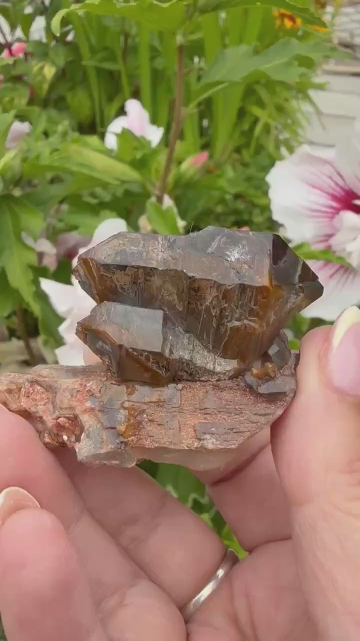 DT Smoky Morion Quartz Specimen from Erongo, Namibia
