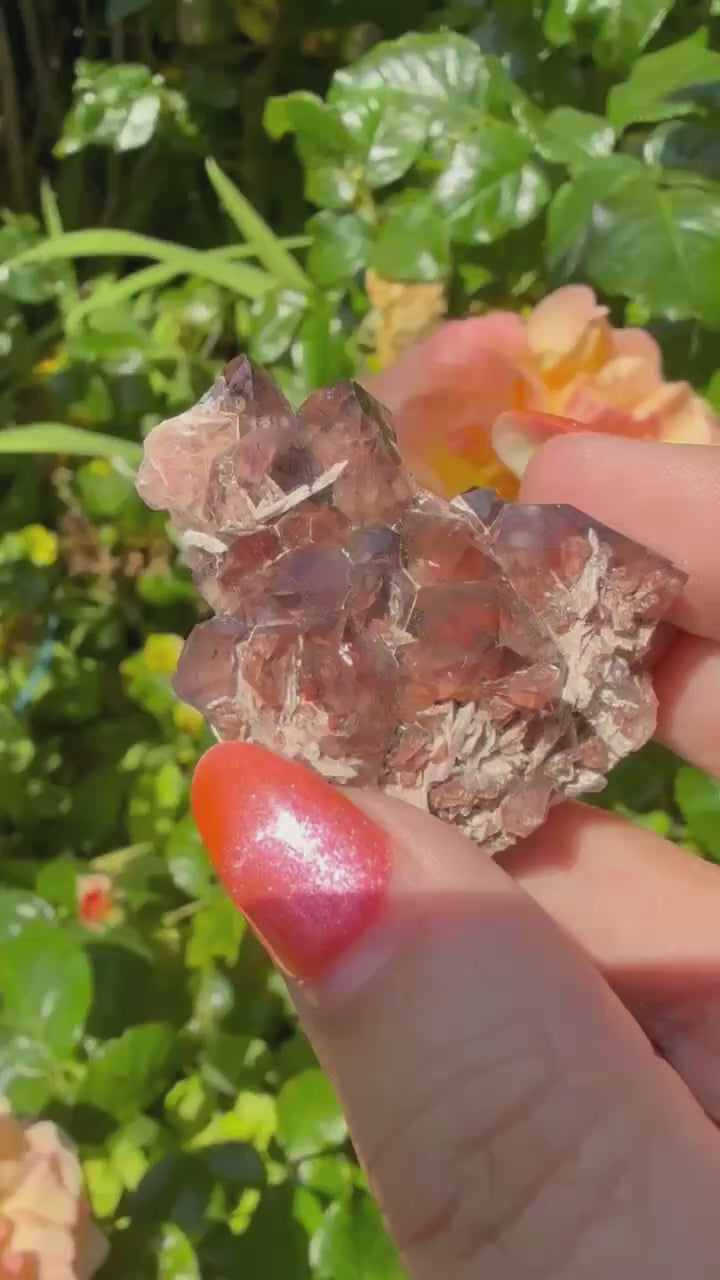Quality Rare Fire and Ice Thunderbay Amethyst Specimen from Canada