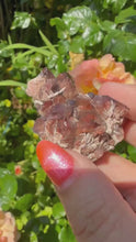 Load and play video in Gallery viewer, Quality Rare Fire and Ice Thunderbay Amethyst Specimen from Canada
