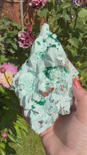 Load and play video in Gallery viewer, Collectors Grade Rare Dioptase on Shattuckite and Calcite Specimen from Congo
