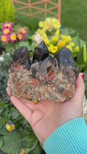 Load and play video in Gallery viewer, Large Smoky Quartz Cluster with Hematite Specimen
