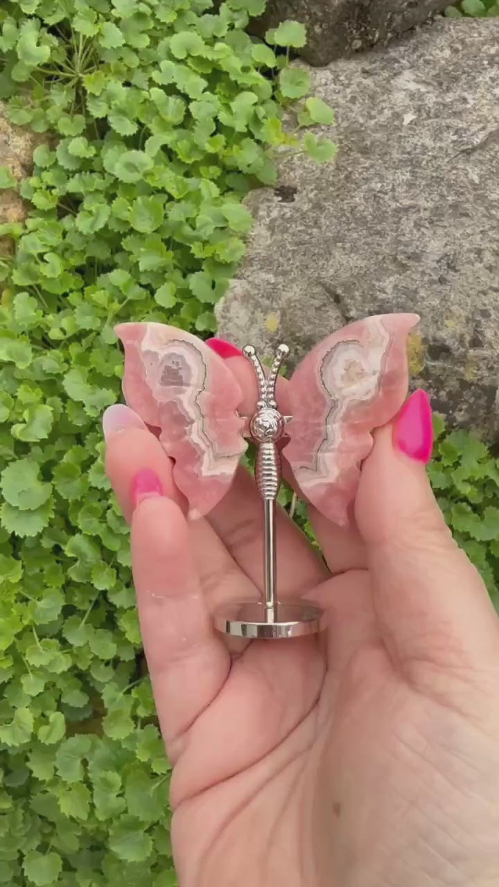 Rhodochrosite Butterfly Wings Carving and Stand
