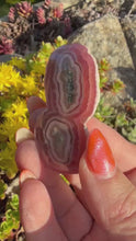 Load and play video in Gallery viewer, Rhodochrosite Polished Stalactite Specimen from Argentina
