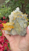 Load and play video in Gallery viewer, Golden Healer Quartz with Limonite Specimen From Columbia
