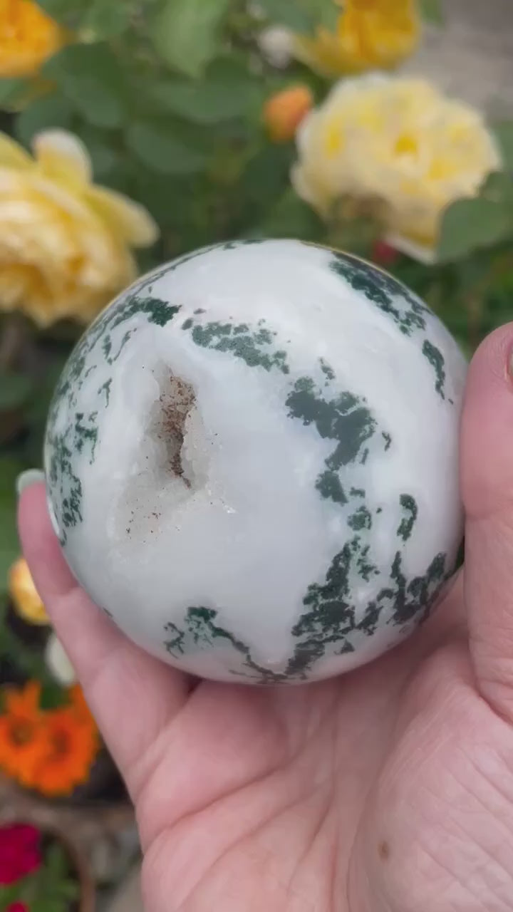 Large Tree Agate with Druzy Sphere
