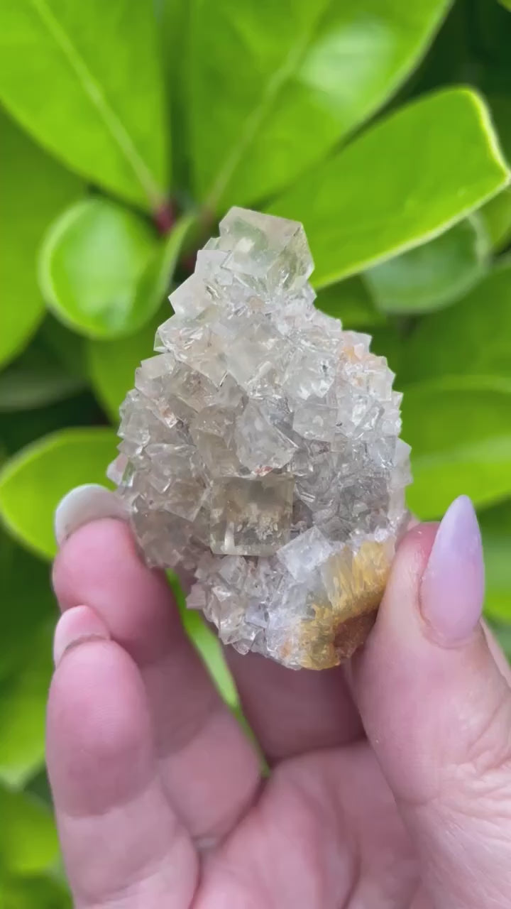 Yellow Cubic Fluorite from Beijing Specimen