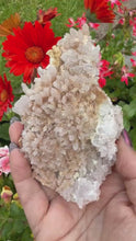 Load and play video in Gallery viewer, Pink Shell Amethyst Flower Specimen
