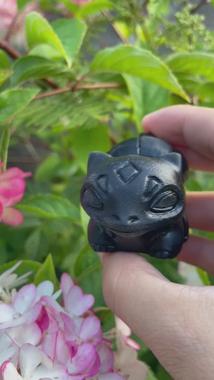 Obsidian Bulbasaur Pokemon