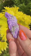 Load and play video in Gallery viewer, Sugilite Specimen from Wessels Mine
