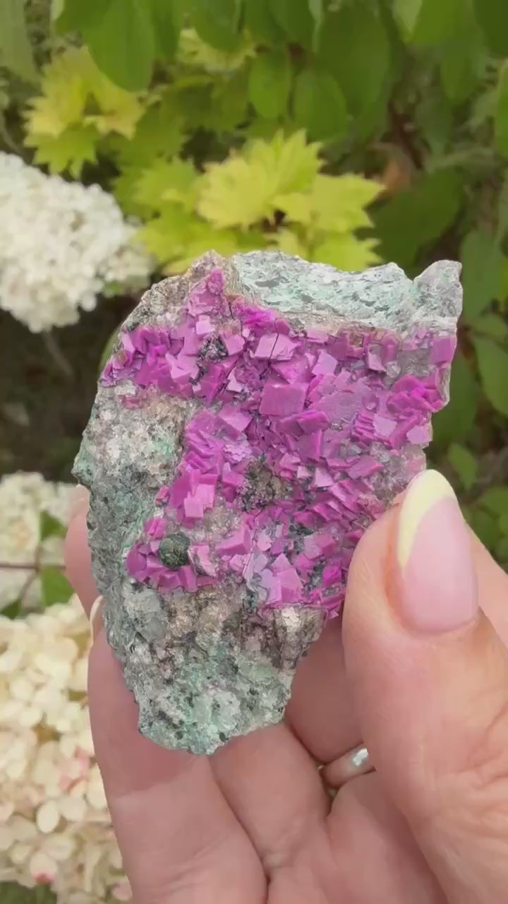 Vibrant Pink Cobaltoan Calcite Specimen from Congo
