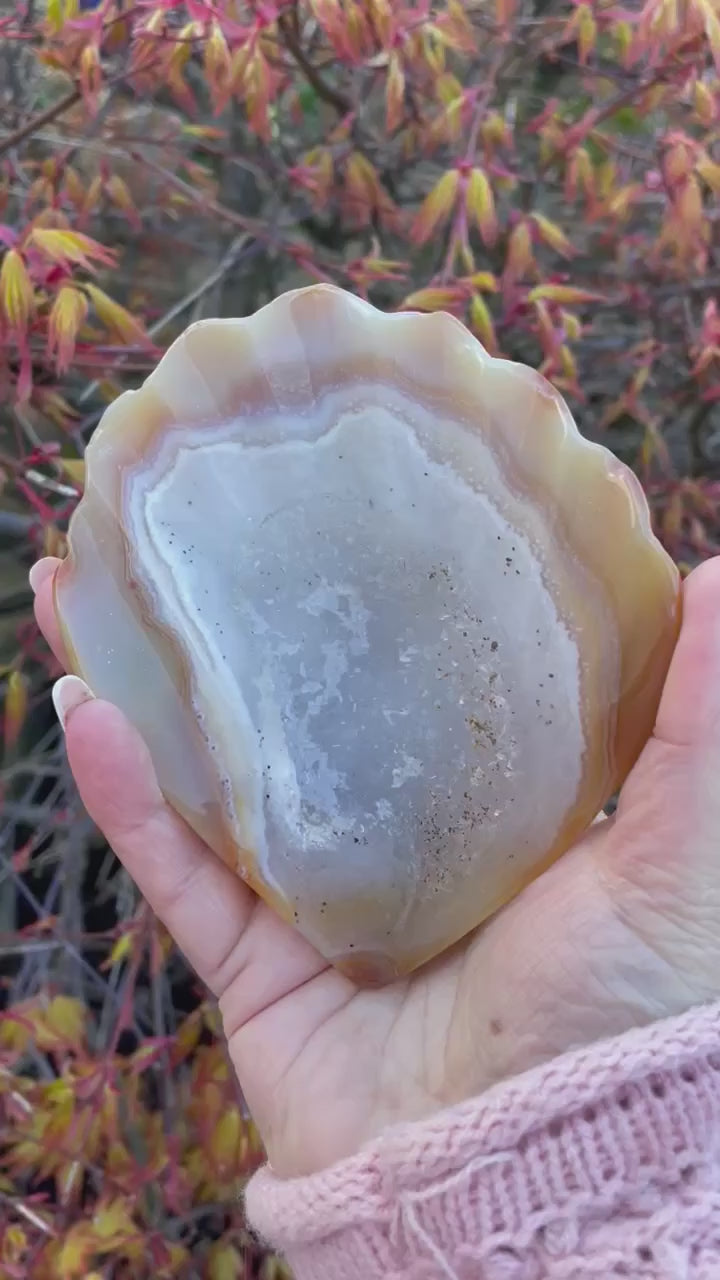 Large Druzy Agate Shell Carving