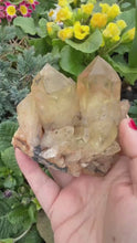 Load and play video in Gallery viewer, Kundalini Citrine Cluster Specimen
