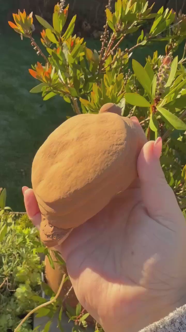 Large Pottery Stone Sandstone Specimen from Wenshan China