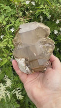 Load and play video in Gallery viewer, Large Double Terminated DT Smoky Quartz from Pakistan
