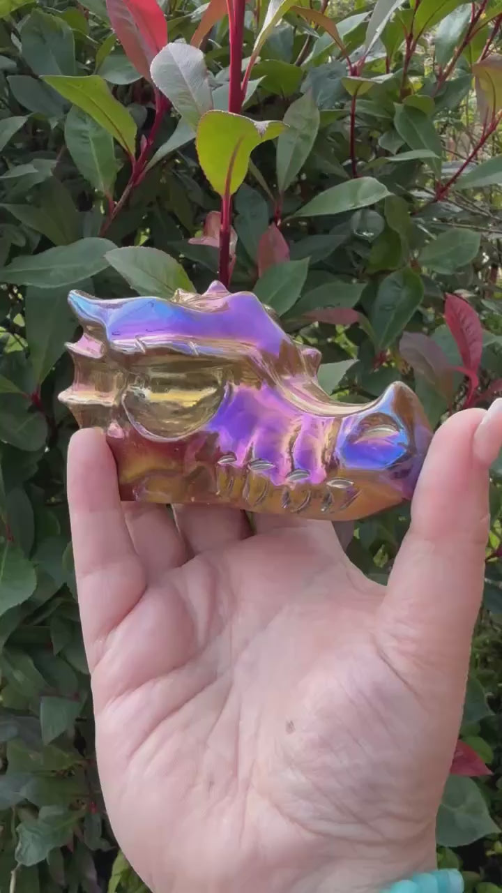Aura Coated Dragon Head