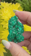 Load and play video in Gallery viewer, Vibrant Dioptase Specimen from Namibia
