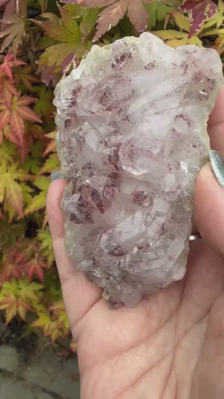 Rare Quartz with Hematite Phantoms Cluster Sunset Phantom
