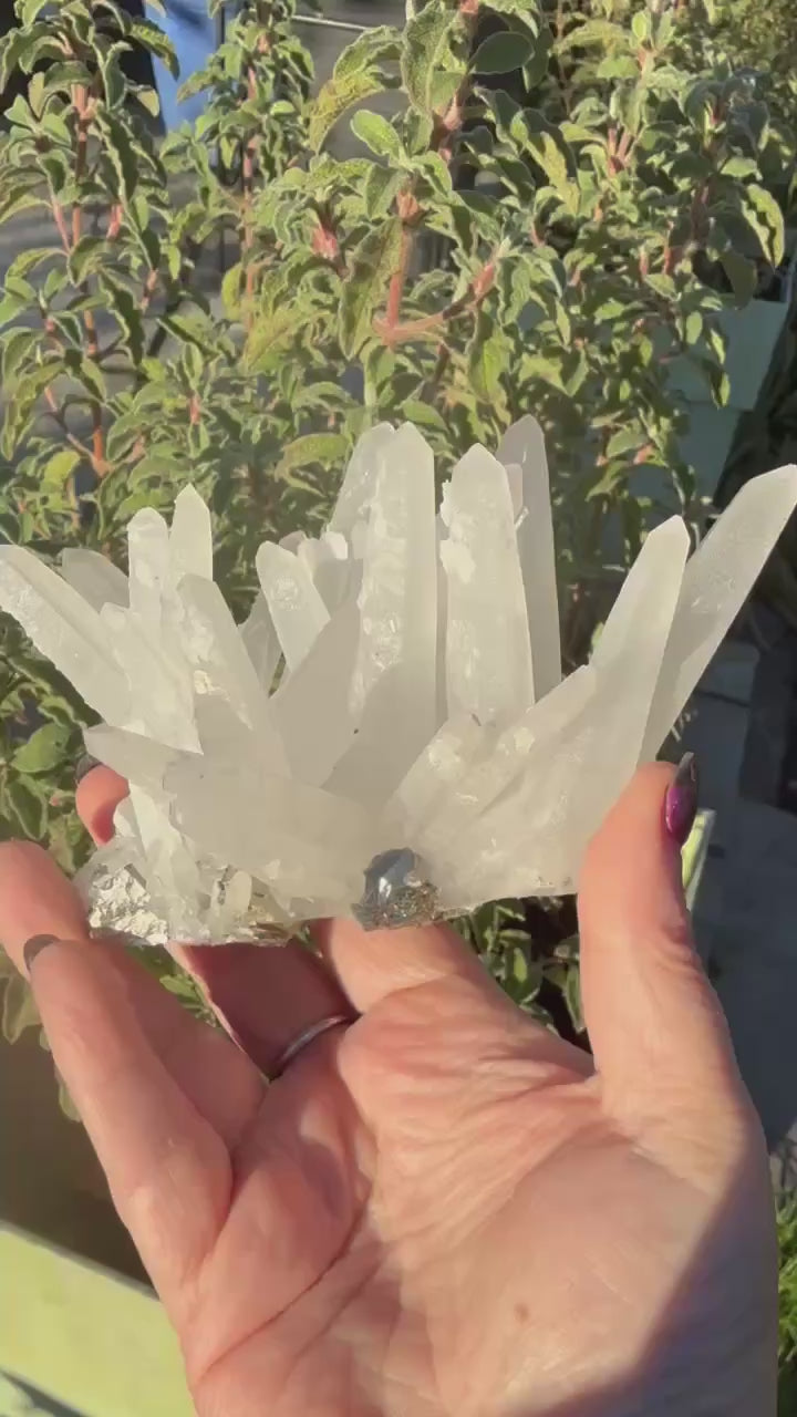 Quartz and Pyrite Specimen from Columbia