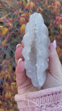 Load and play video in Gallery viewer, Agate and Quartz Shell with Dendrites Carving
