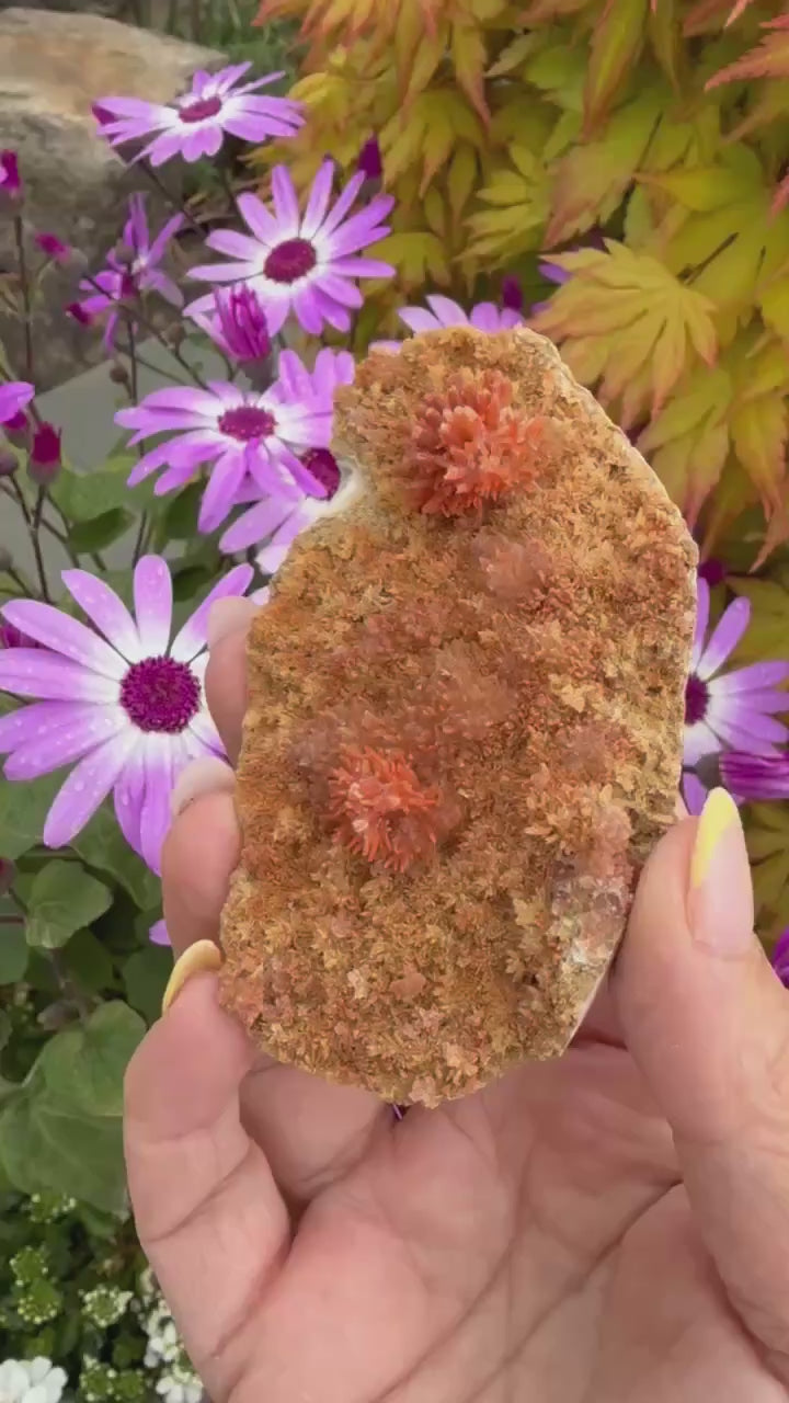 Red Calcite Specimen from Wenshan