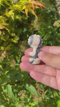 Load and play video in Gallery viewer, Zebra Jasper Flower
